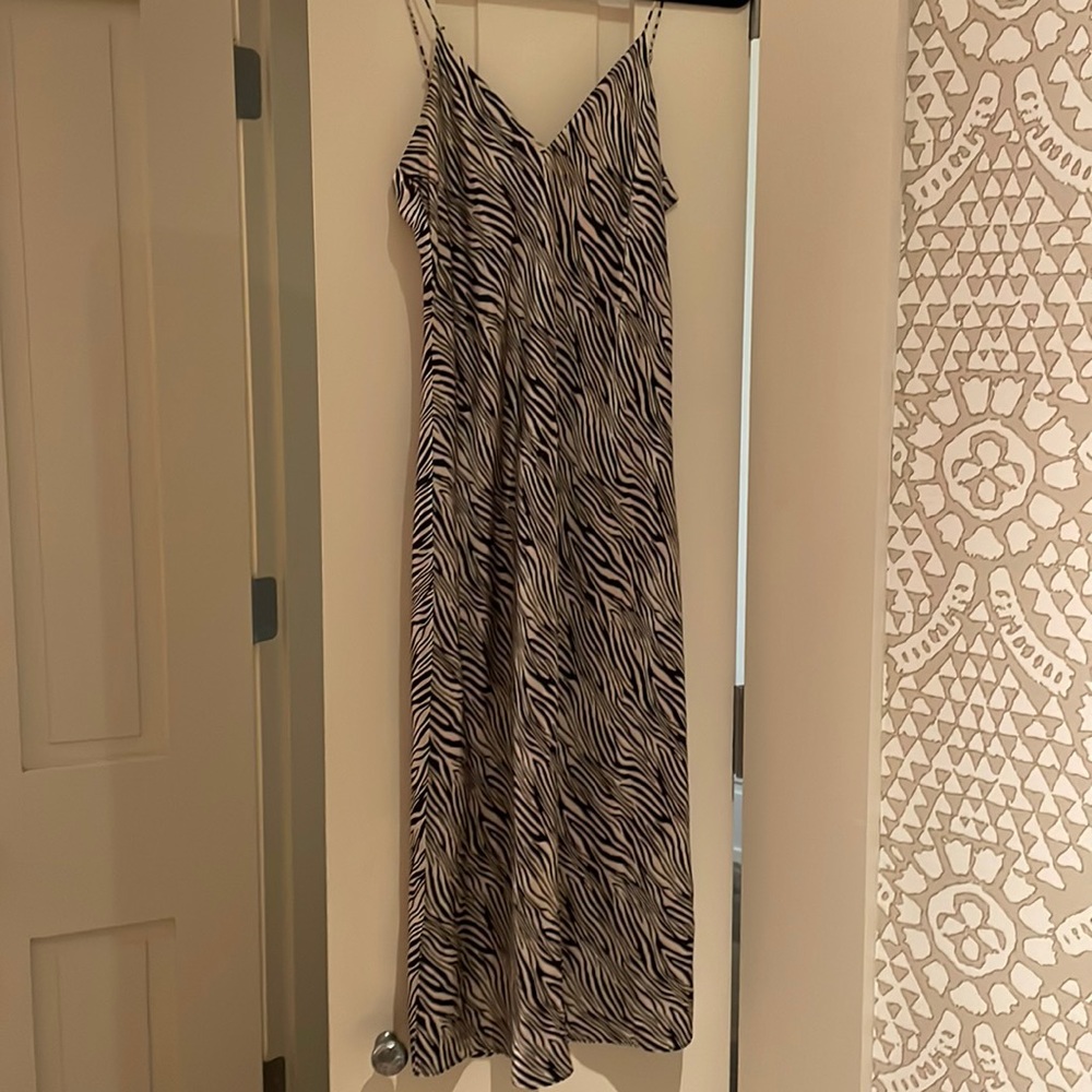 CAMI NYC Raven slip dress in zebra print silk